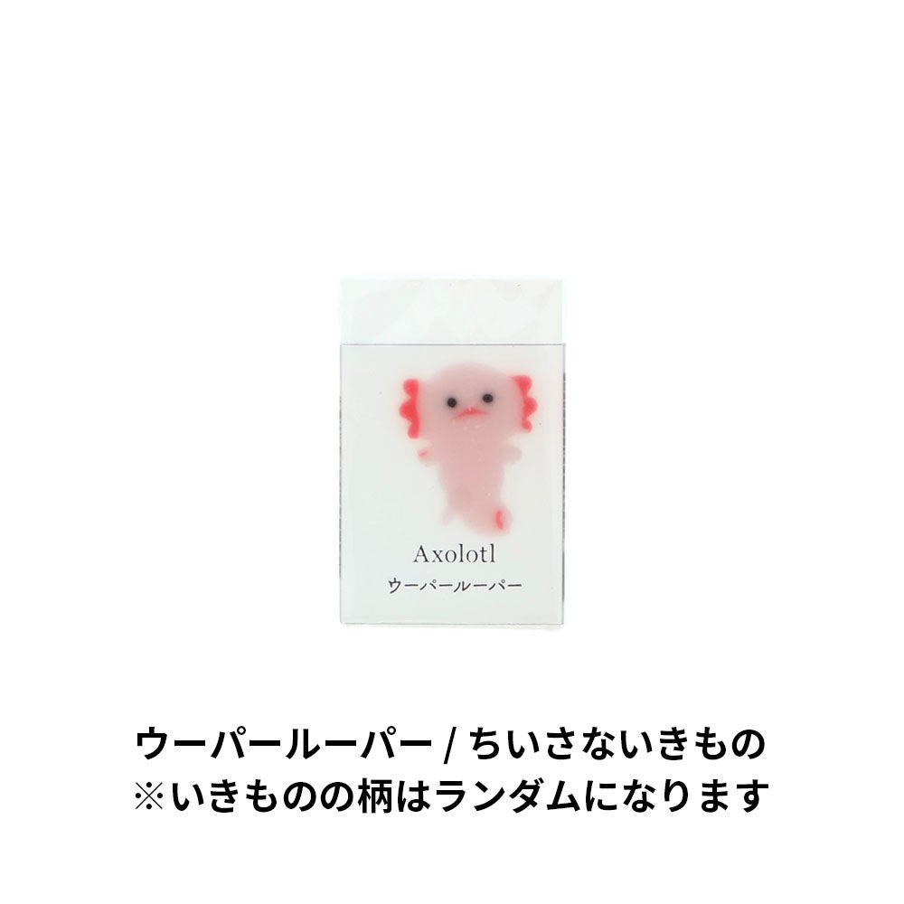 氷漬けになったいきもの消しゴム ちいさないきもの